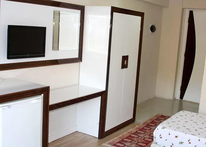 Ozdemir Thermal 2*