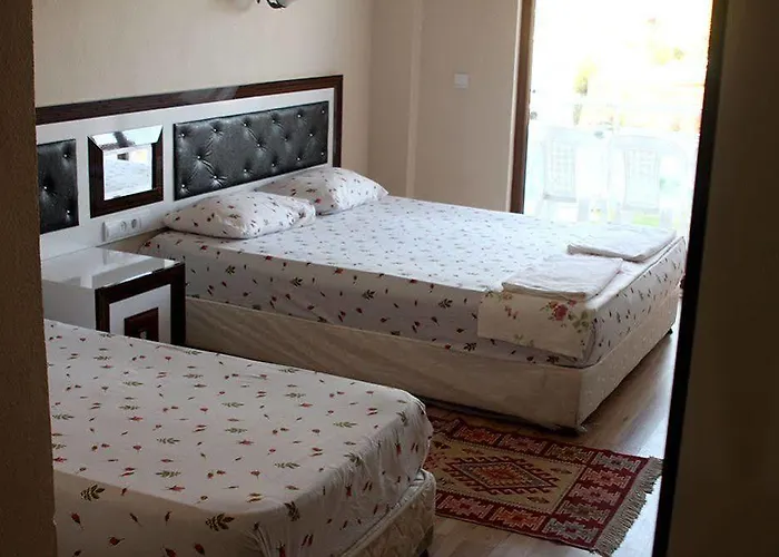 Ozdemir Thermal 2*