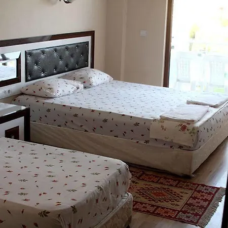 Ozdemir Thermal 2*